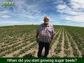 When did you start growing sugar beets with peter pepneck