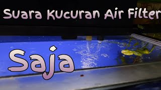 Suara Kucuran Air Filter Aquarium Saja