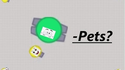 Obstar.io with Pet | How to add them!!!!!!