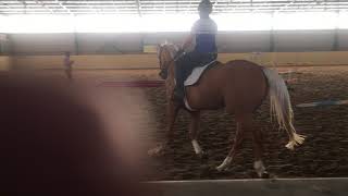 IMG 56421