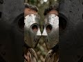 Дело свинцовых масок: две смерти, которые Бразилия не смогла объяснить
