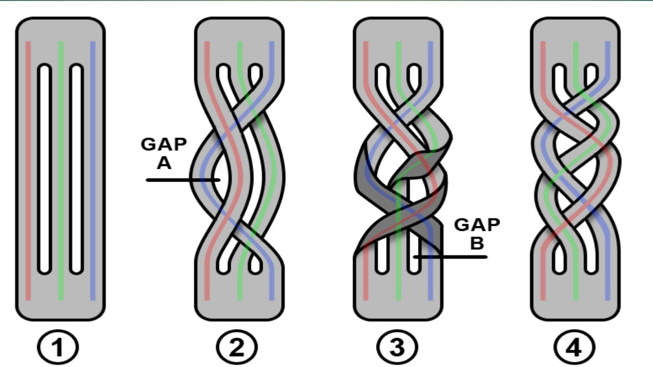 ارخص ويجل كشفى (الويجل الجلد)