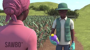 How to Identify and Scout for Fall Armyworm in Bengali (accent from India)