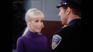 The Feminist and the Fuzz (1971) Classic Film, Barbara Eden, David Hartman | Full HD English Movie
