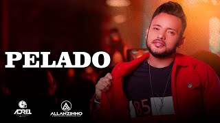 Video thumbnail of "ALLANZINHO - PELADO"