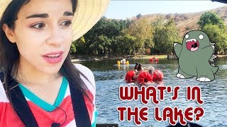 ALL THE THINGS TO DO AT IRVINE REGIONAL PARK