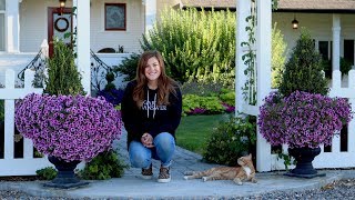 An Update on My Containers! 🌿🌸🌼 // Garden Answer