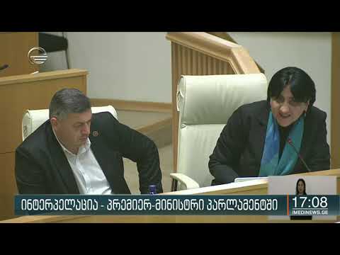 გიორგი გახარია პარლამენტში დეპუტატების შეკითხვებს პასუხობს