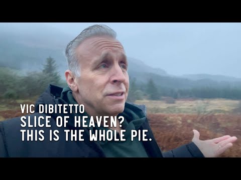 Slice of heaven? This is the whole pie.
