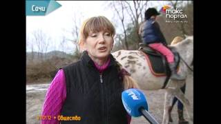 Девочке из Сочи подарили лошадь леопардовой масти Девочке из Сочи подарили лошадь леопардовой масти