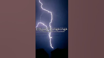 (ولئن أطعتم بشرا مثلكم إنكم إذا لخاسرون) تلاوة للشيخ ياسر الدوسري