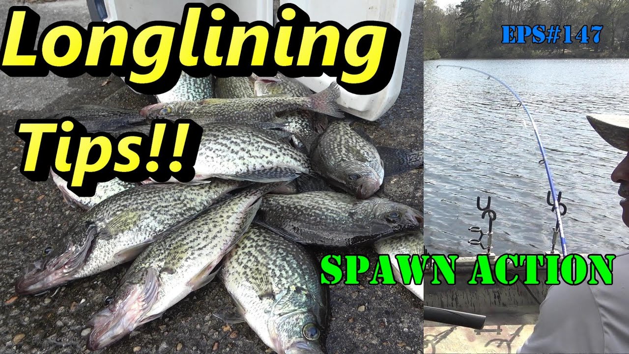 Spawning crappie long lining tips - Eps#148 
