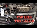 VW EGR 1.6 / 2.0 TDI Murphyslaw