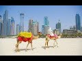 Españoles en el mundo  | Dubai