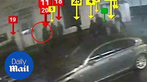 CCTV footage shows Jamelia's stepbrother in reveng...