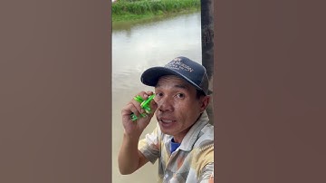 Bộ dây câu có lưỡi anh em mua vào đây : https://vt.tiktok.com/ZSHtyYbt4CpcQ-gecKt/ #xuhướng