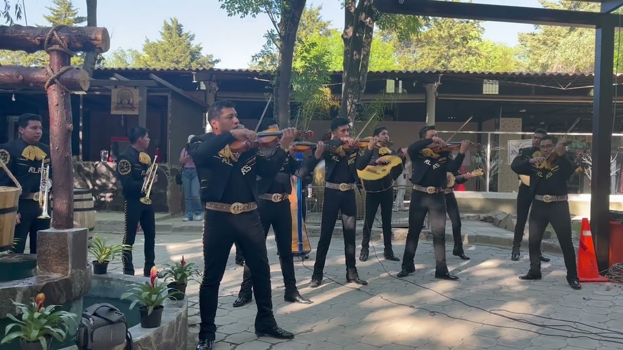 Mariachi Internacional Alas de Puebla | Son de la negra | Puebla