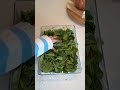 Packing Healthy In Refrigerator