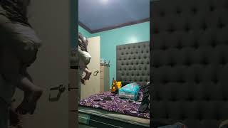 Momento destacado de transmisión en vivo