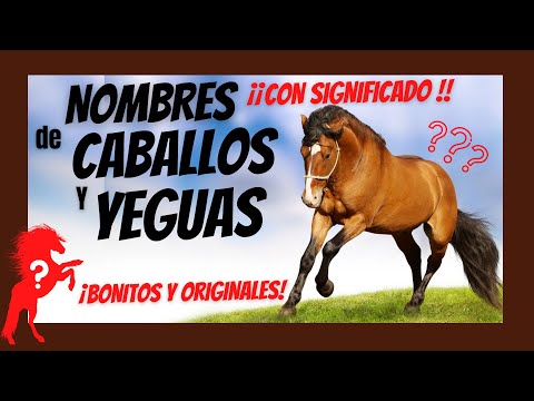 Video: 20 nombres de color rojo fuego para los caballos castaños