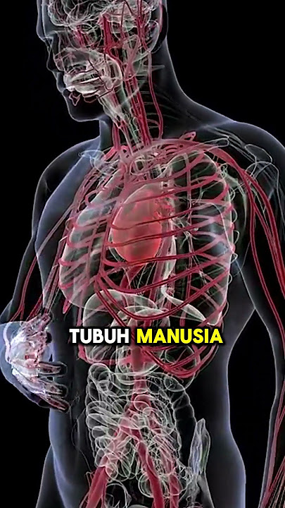 JANTUNG BISA TERUS BERDETAK MESKI DILUAR TUBUH, EMANG BISA?!! #facts #funfact #faktamenarik