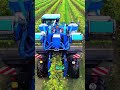 This “Blue Beast” Harvests 630,000 Pounds a Day#GrapeHarvester#ModernFarming#9090X#VineyardTech
