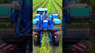 This Blue Beast Harvests 630,000 Pounds A Day