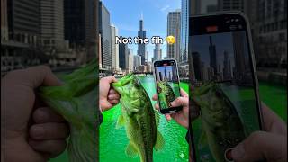 Happy St. Patrick’s Day!☘️ #bassfishing #fishing #trending #fisherman #funny