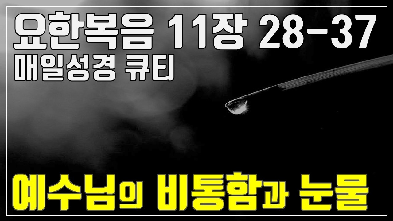 「매일성경큐티」3월 8일 (주) 요한복음 11장 28-37 
