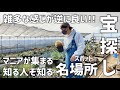 【多肉植物専門店】"小林カクタス"をご紹介します(愛知県小牧市)