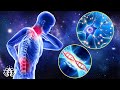 Alpha Waves (Very Powerful!) In 5 Minutes, Whole Body Cell Repair, Release Of Melatonin And Toxin