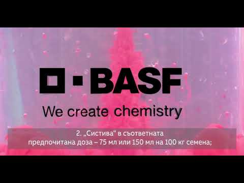 Видео: BF-6 медицинско лепило - инструкции за употреба, цена, рецензии, състав