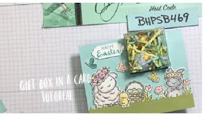 A Cute Box in a Card Tutorial using Springtime Joy