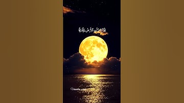 الشيخ بدر التركي سورة الفجر #القرآن_الكريم #يارب #قرآن #خشوع #@alqari_farhanraza