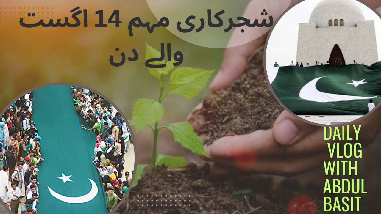 Pauda Pauda Ya Baja | Plant Faisla Aap Ka پودا یا باچا فیصلہ آپ کا ...