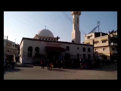   القوزلة في الساحل السوري  