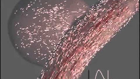 Flow in a canine vein pouch aneurysm