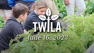 TWILA -- June 16, 2023