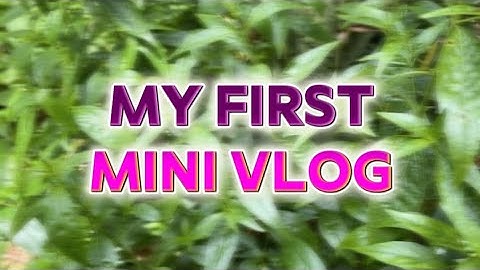 MY FIRST MINI VLOG | #Shivbhagtibeats | #rahulgroverr #vloglife Vlog