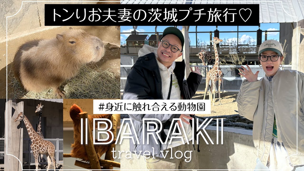【トンりお夫妻の茨城プチ旅行】距離感が近すぎる動物園でふれあい体験