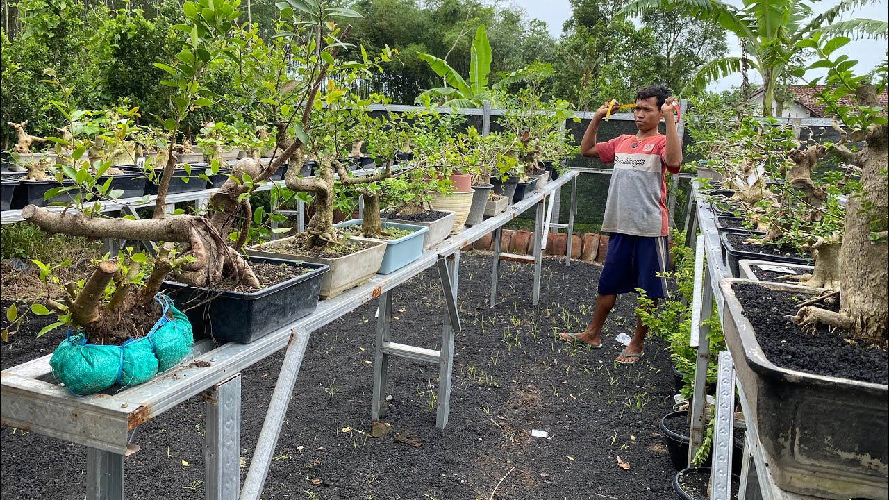 OBRAL LAGI WES CUCI GUDANG SIAPA CEPAT DIA DEPAT 😱😱😱😱 WA 085150612663