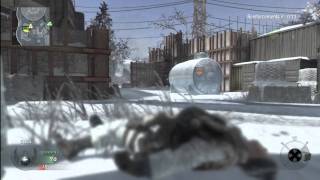Black Ops True__player24