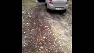 Swat Pro-65 Swat Pro 40