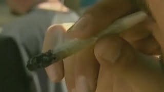 Famous Experts warn of cannabis-related "scromitting" Profile