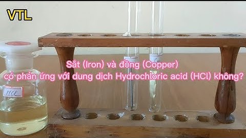 Experiment of Fe and Cu reacting with HCl