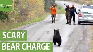 Aggressive bear charges spectators in Finland