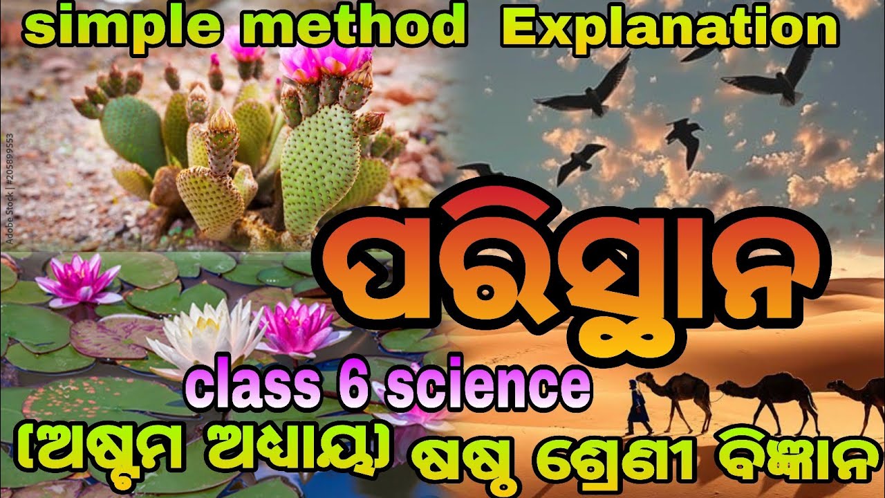 Class 6 science chapter 8/paristhana/ପରିସ୍ଥାନ/6th class science chapter 8/sastha sreni bigyana 