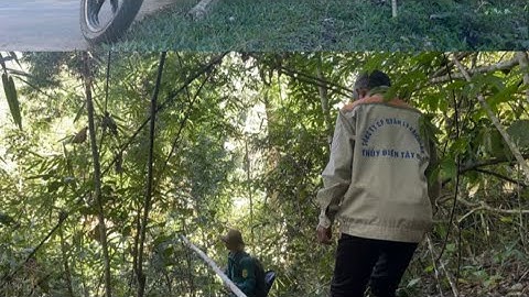 Một Ngày Làm Việc Của Hừ Giữa Mùa Đông#NamKhumCoop#doanvanbau 