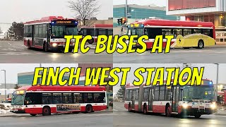 TTC Buses at Finch West Station Compilation (January 2021)