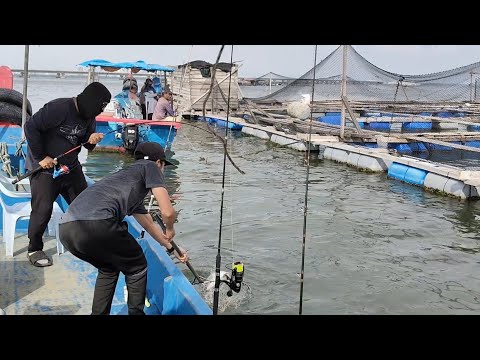 06/08/2026 Trip Mancing at Sangkar Sungai Udang Penang